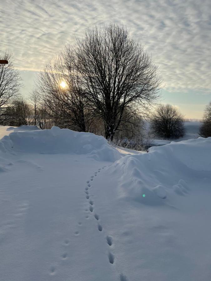 Karukella Puhkemaja Villa Lyuganuse Exteriör bild